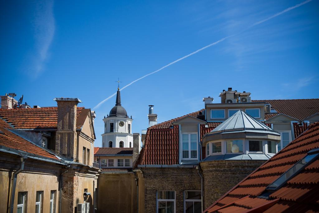 Cathedral Sq. Apartment - Odminiu Str. Vilnius Eksteriør billede