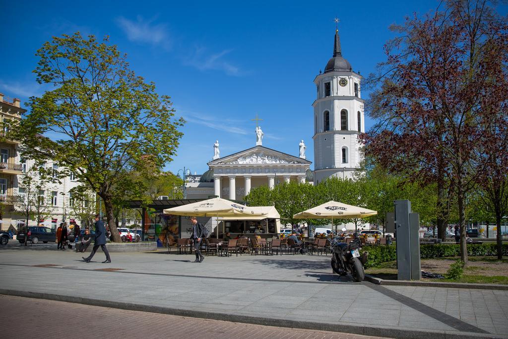 Cathedral Sq. Apartment - Odminiu Str. Vilnius Eksteriør billede